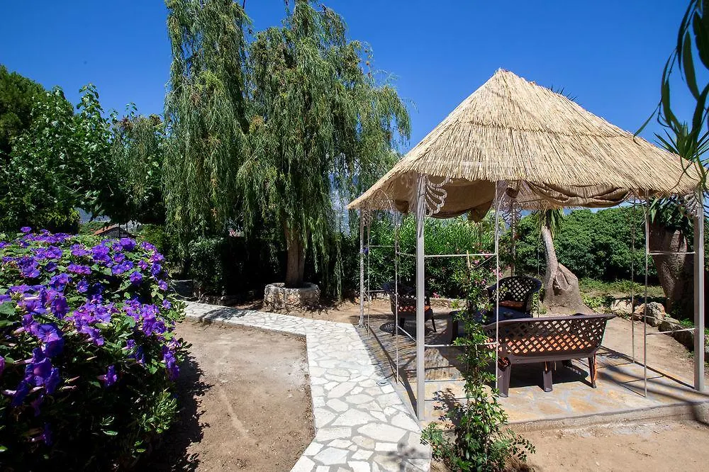 Studios Dimitra Spartià