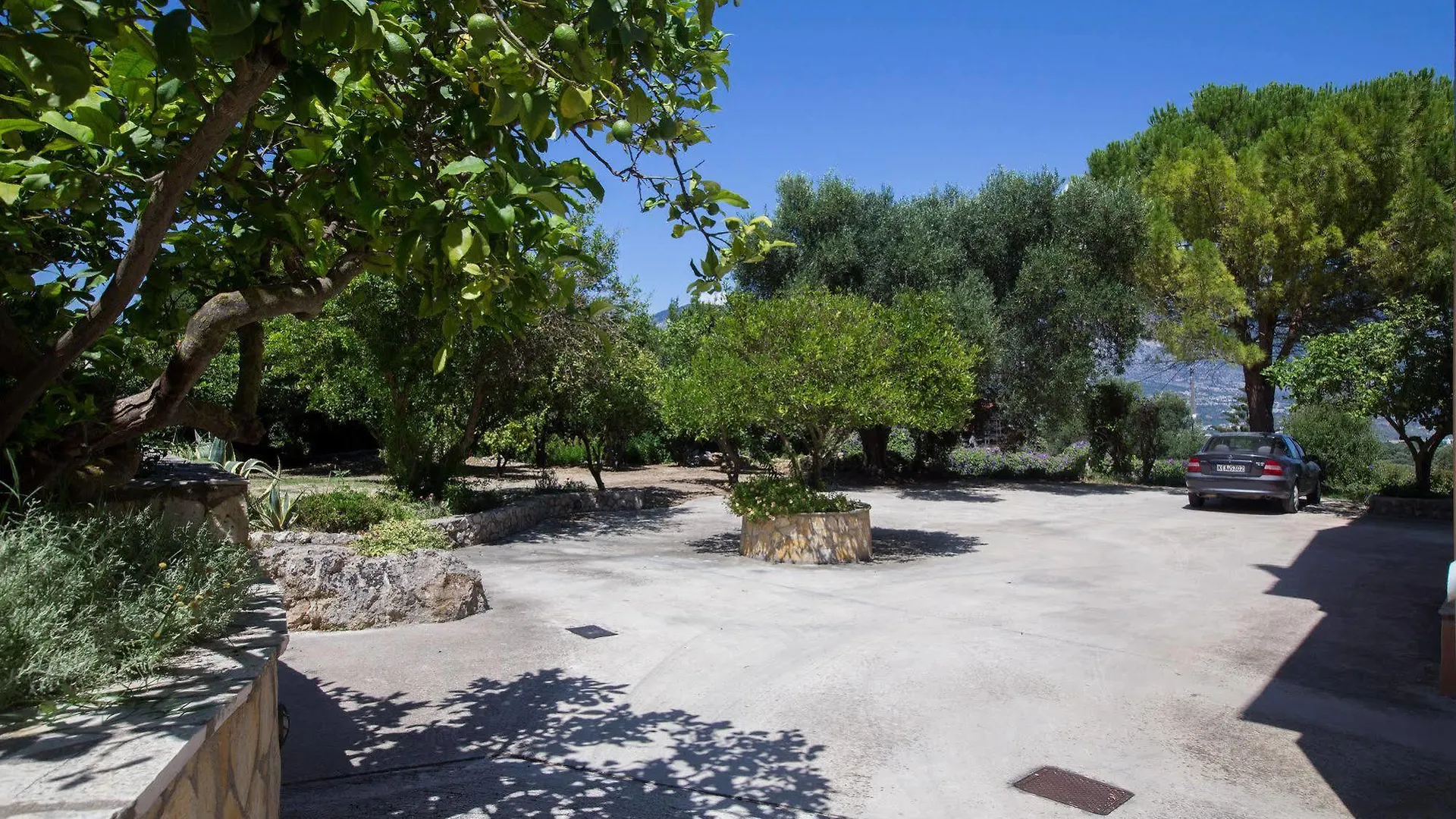 Studios Dimitra Spartià Hotel